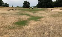Expert Insights: Building Resilient Golf Course Fairways